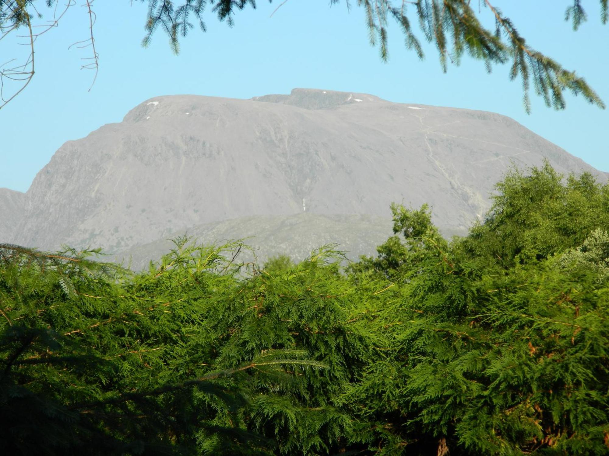 Tom Beag - Ben Nevis View Rooms ฟอร์ตวิลเลียม ภายนอก รูปภาพ