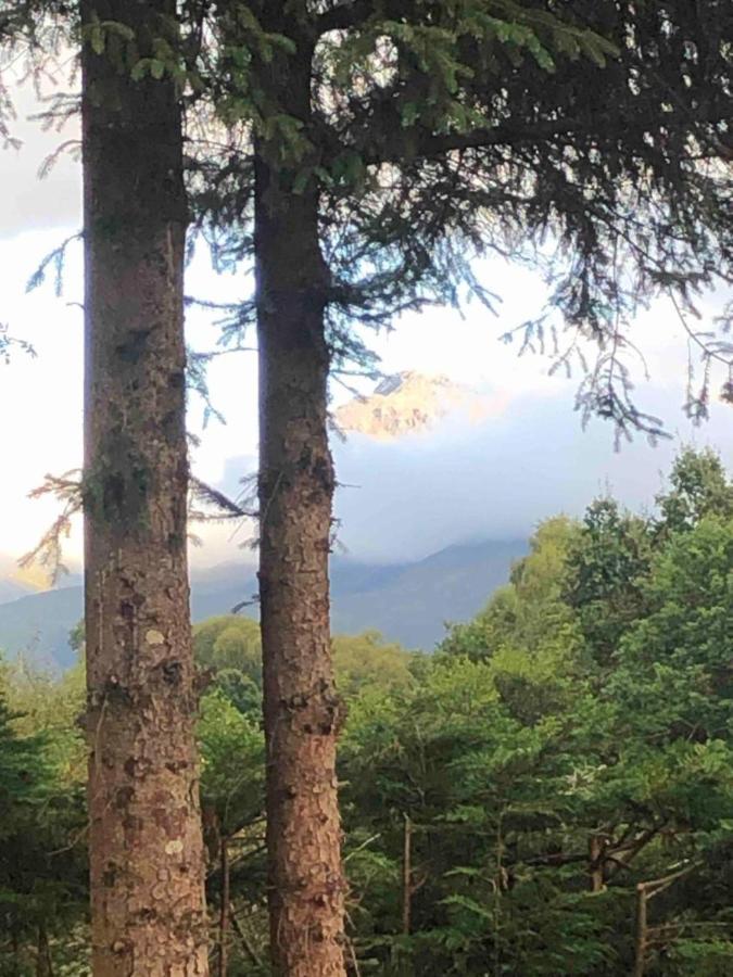 Tom Beag - Ben Nevis View Rooms ฟอร์ตวิลเลียม ภายนอก รูปภาพ