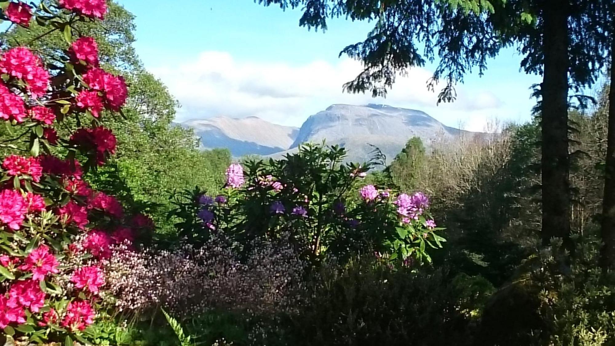 Tom Beag - Ben Nevis View Rooms ฟอร์ตวิลเลียม ภายนอก รูปภาพ
